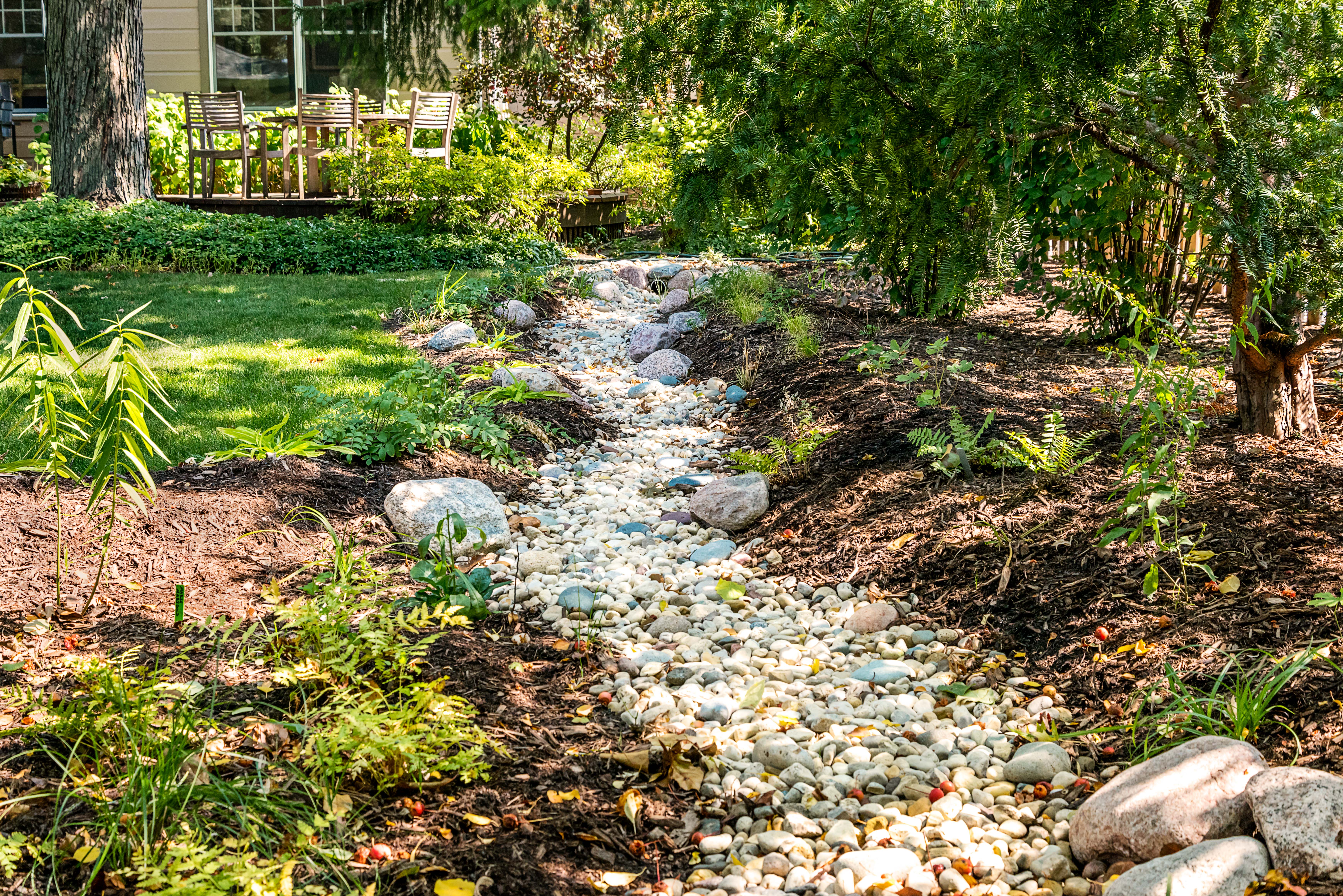 Rocks in shady yard